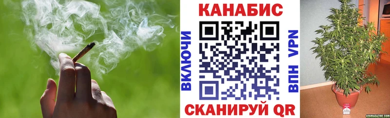 Каннабис OG Kush Новосибирск